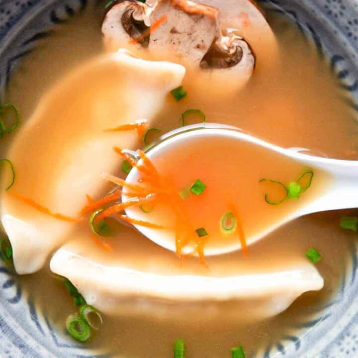 potsticker soup