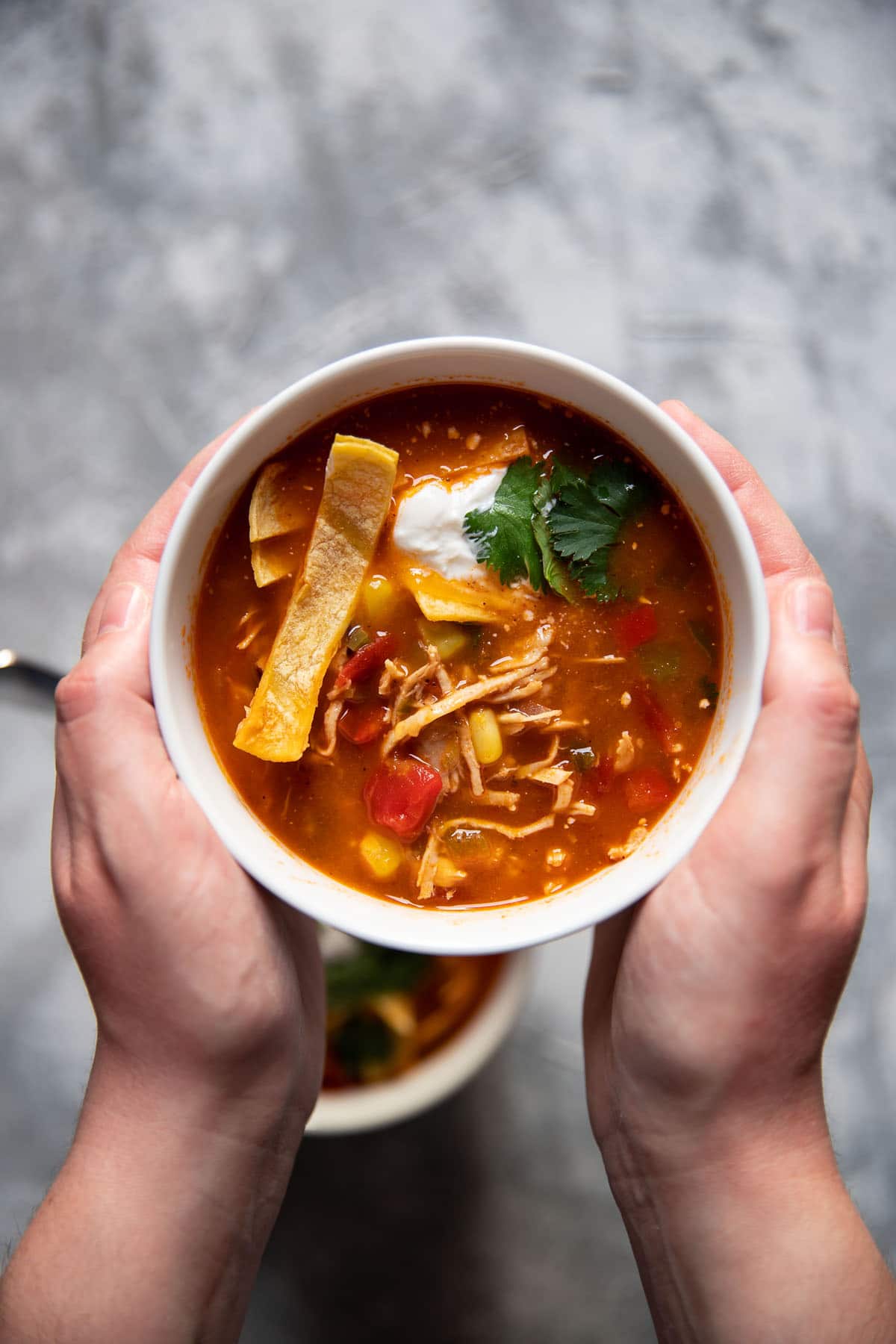 Chicken Tortilla Soup Big Batch and Freezer Friendly - Modern Crumb