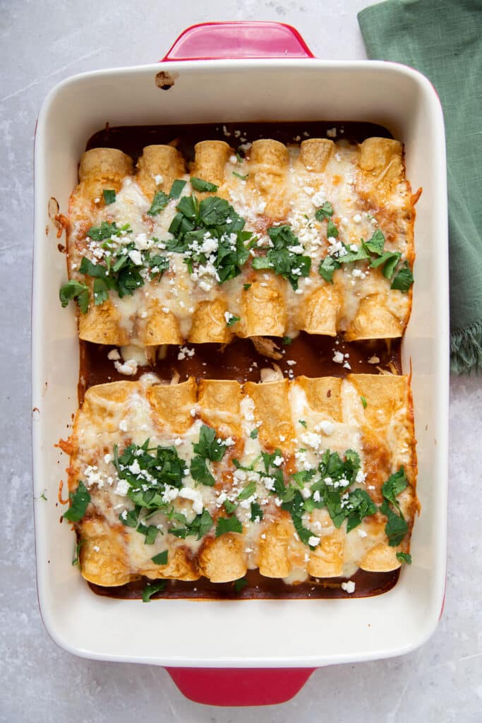 chicken enchiladas with jack cheese, cotija cheese and cilantro on top