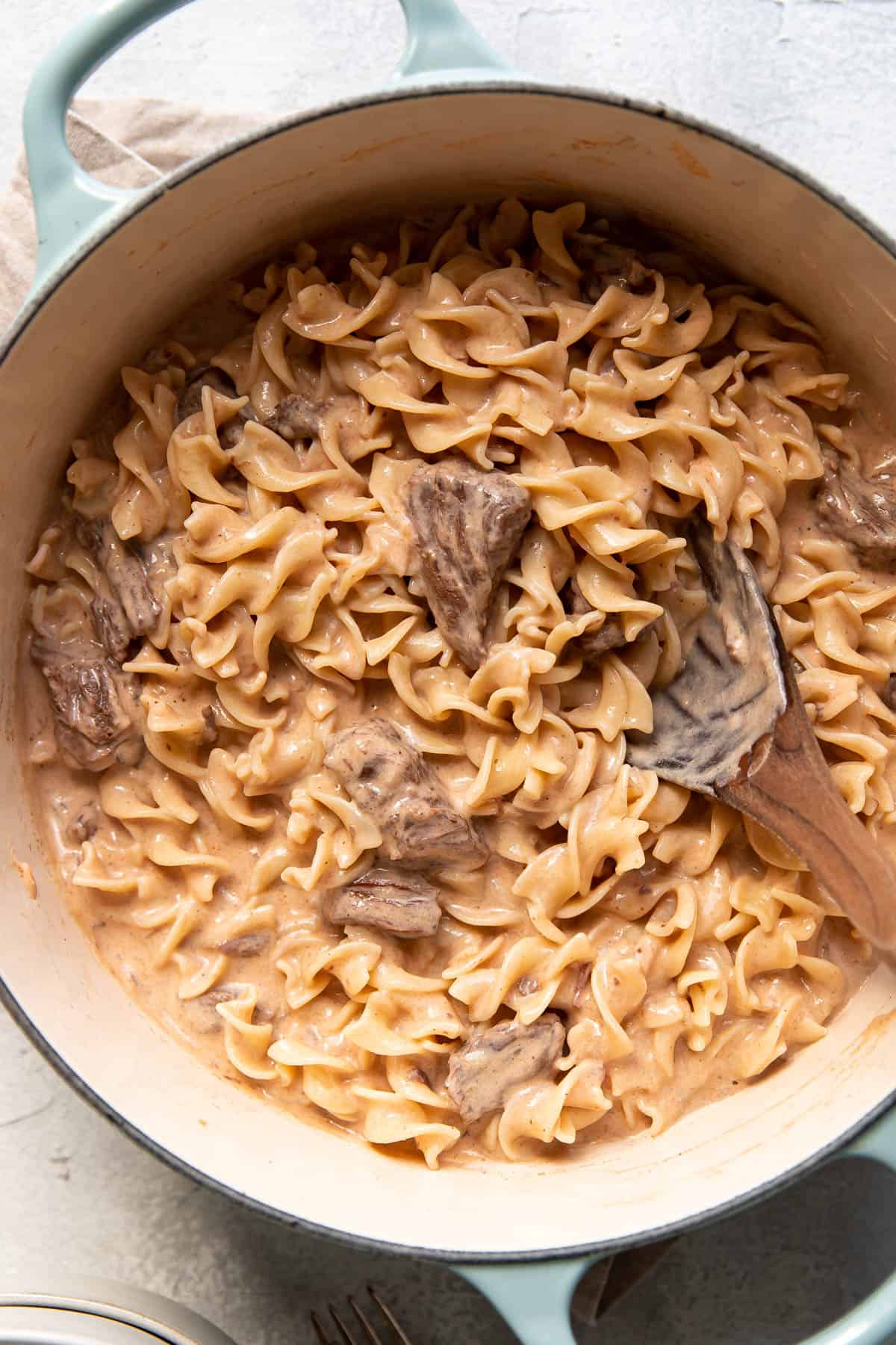 beef stroganoff with sour cream, egg noodle and chuck roast meat.