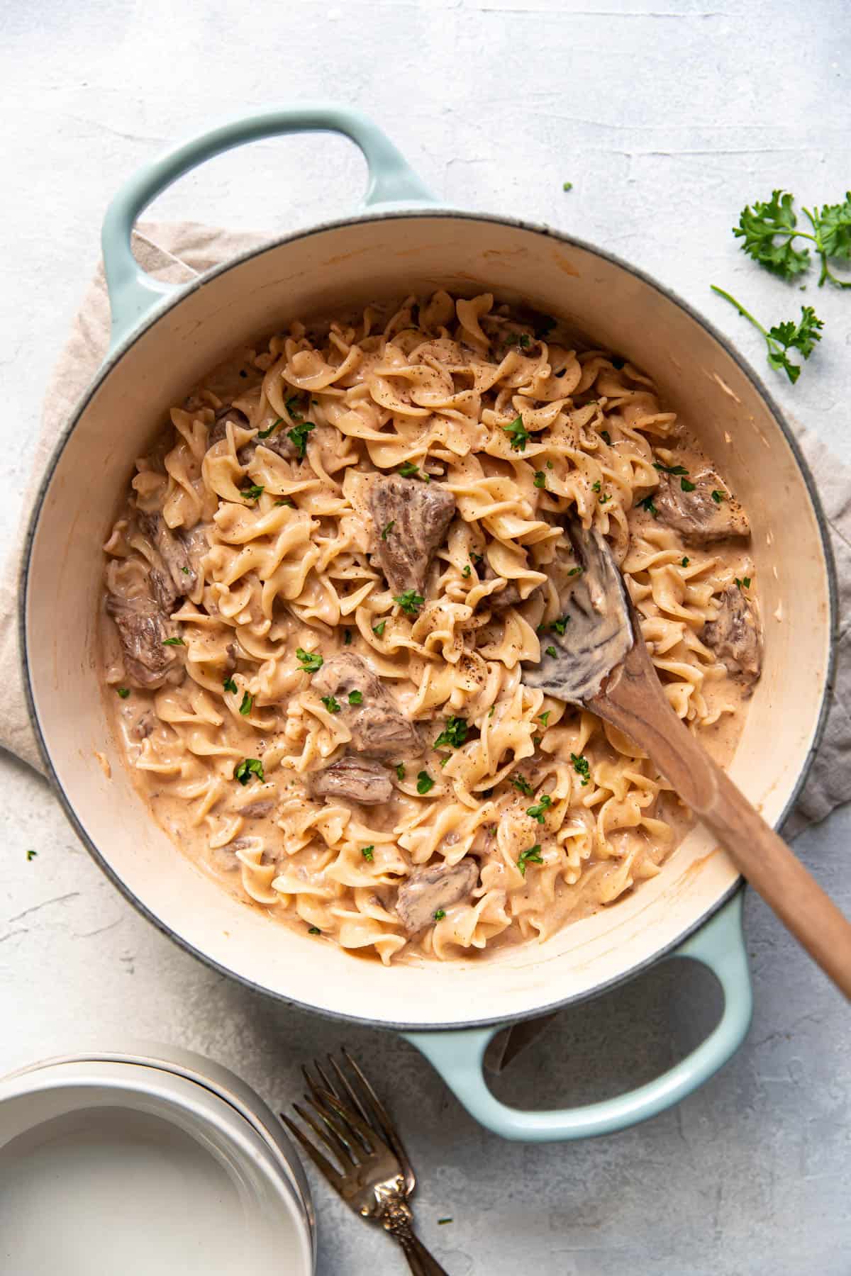 beef stroganoff with sour cream, egg noodle and chuck roast meat.