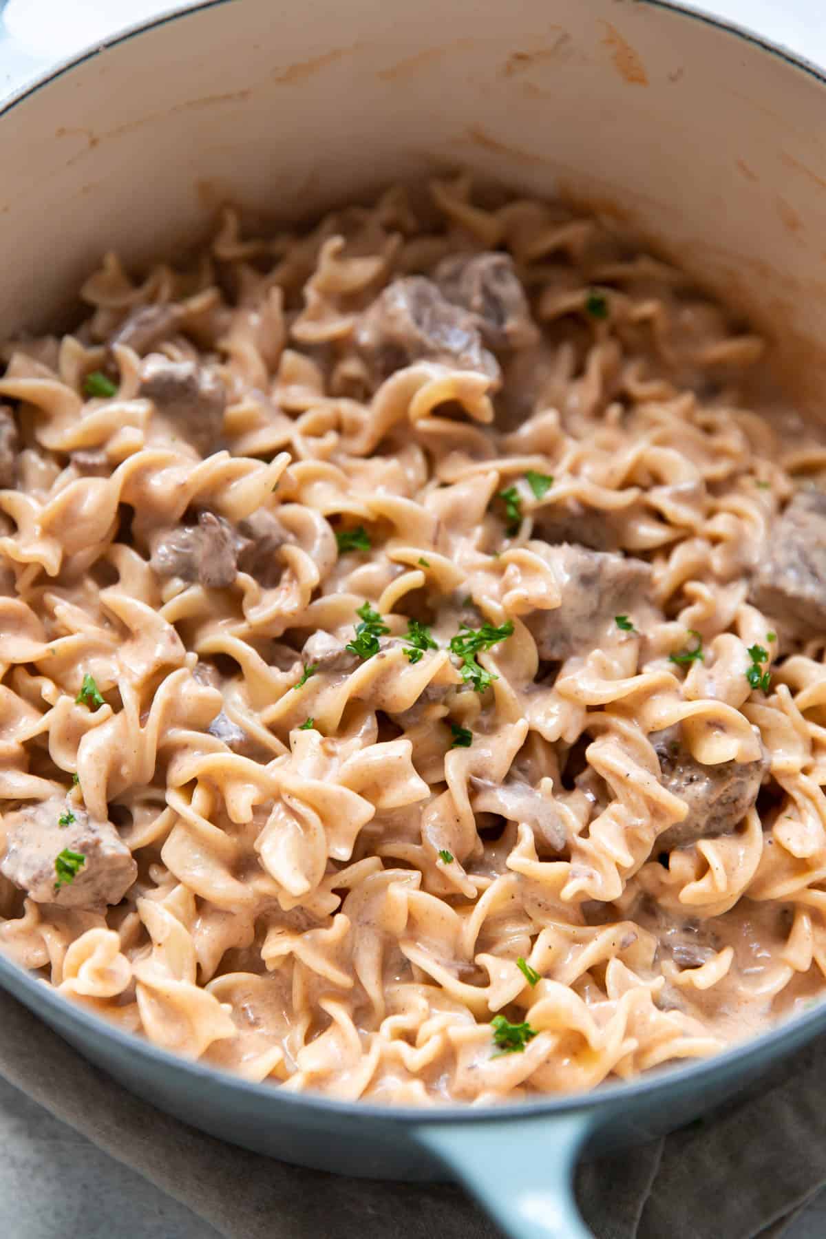 beef stroganoff with sour cream, egg noodle and chuck roast meat.