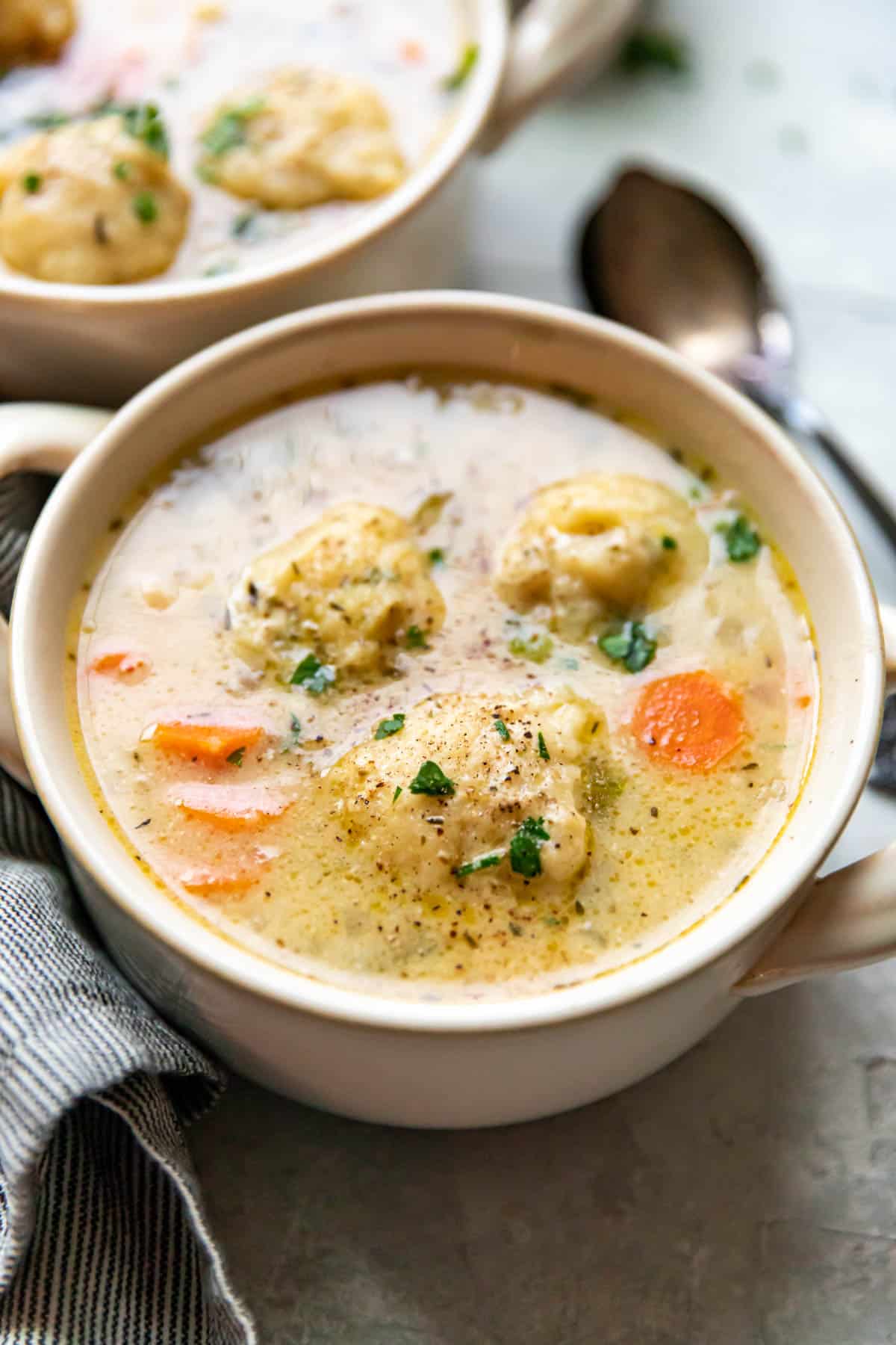 chicken and dumplings in a bowl.