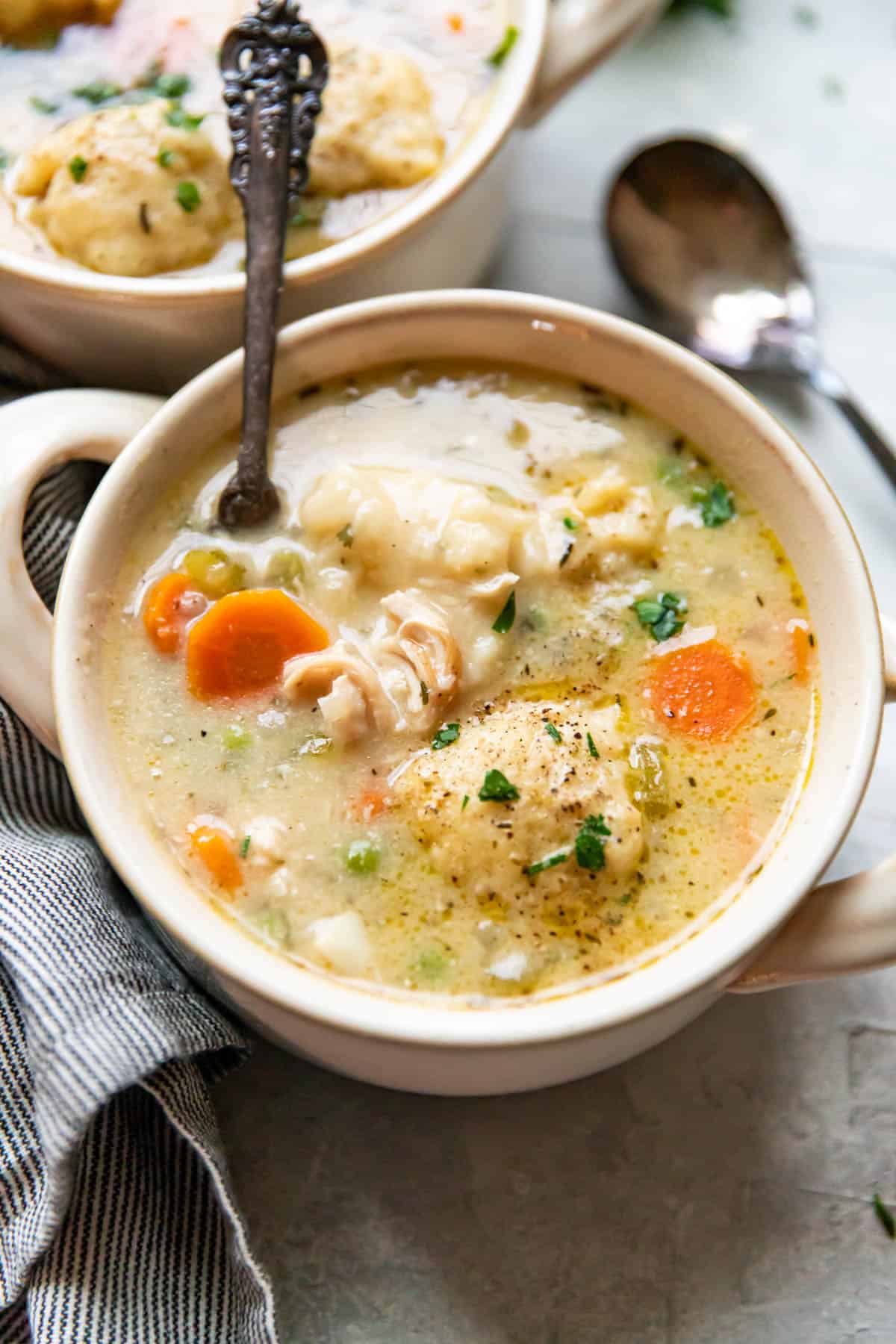 chicken and dumplings in a bowl.