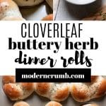 herb butter rolls