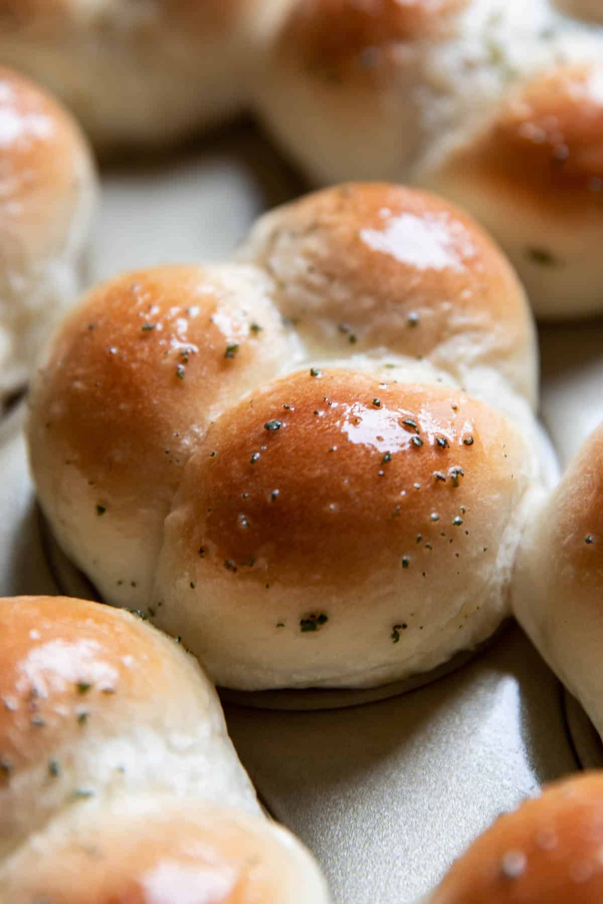 herb butter rolls