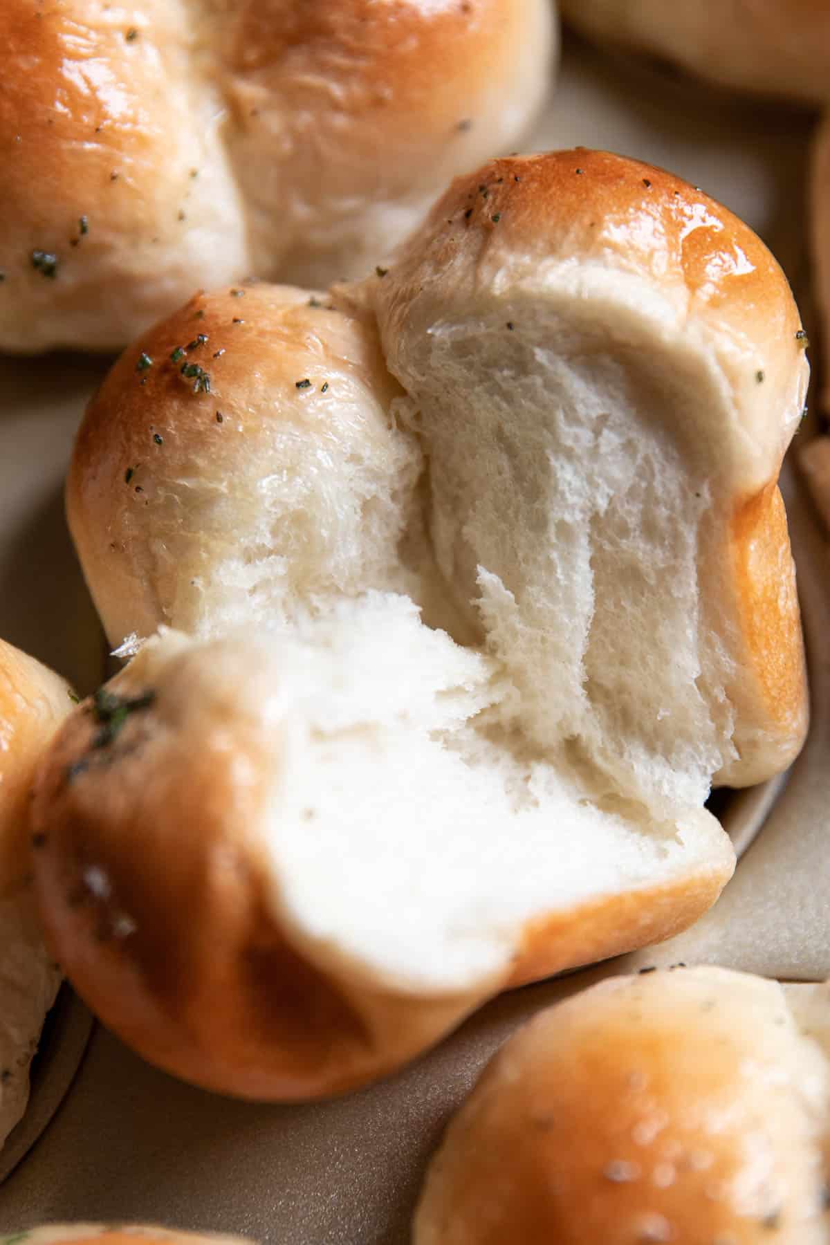 herb butter rolls