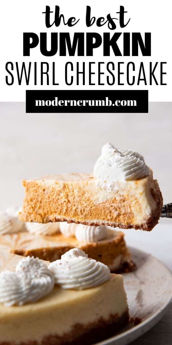 The Best Pumpkin Swirl Cheesecake (Video) - Modern Crumb
