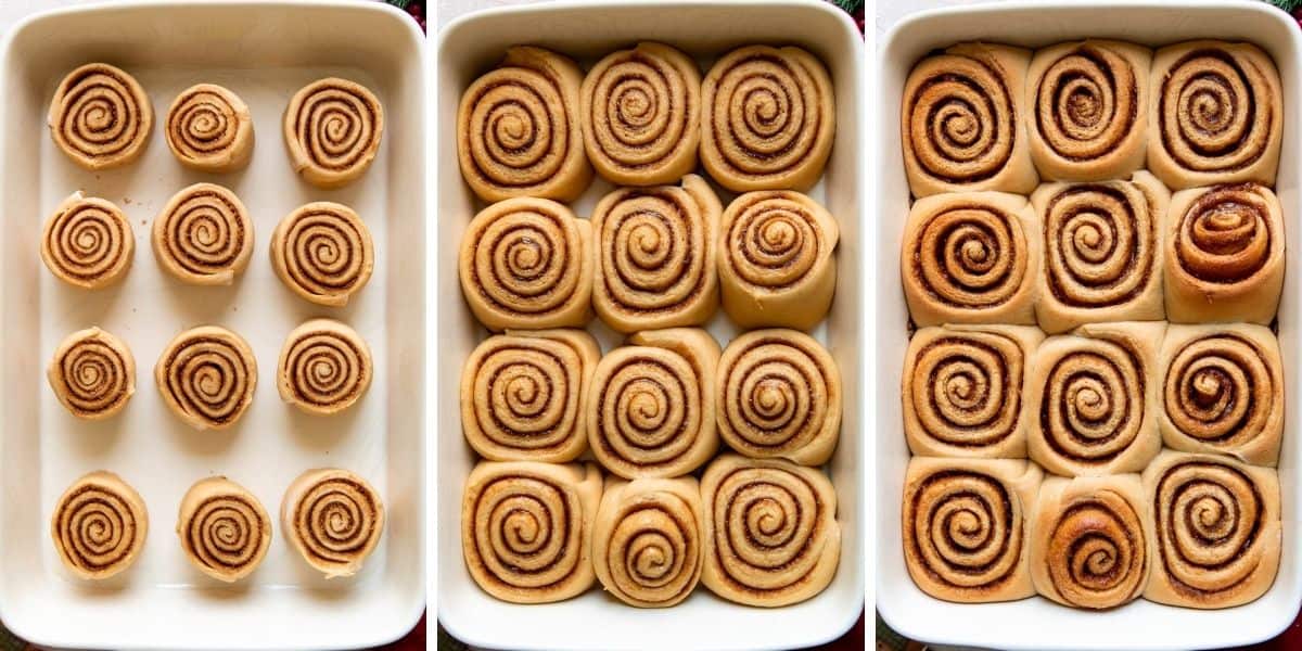 gingerbread cinnamon roll image collage before and after baking.
