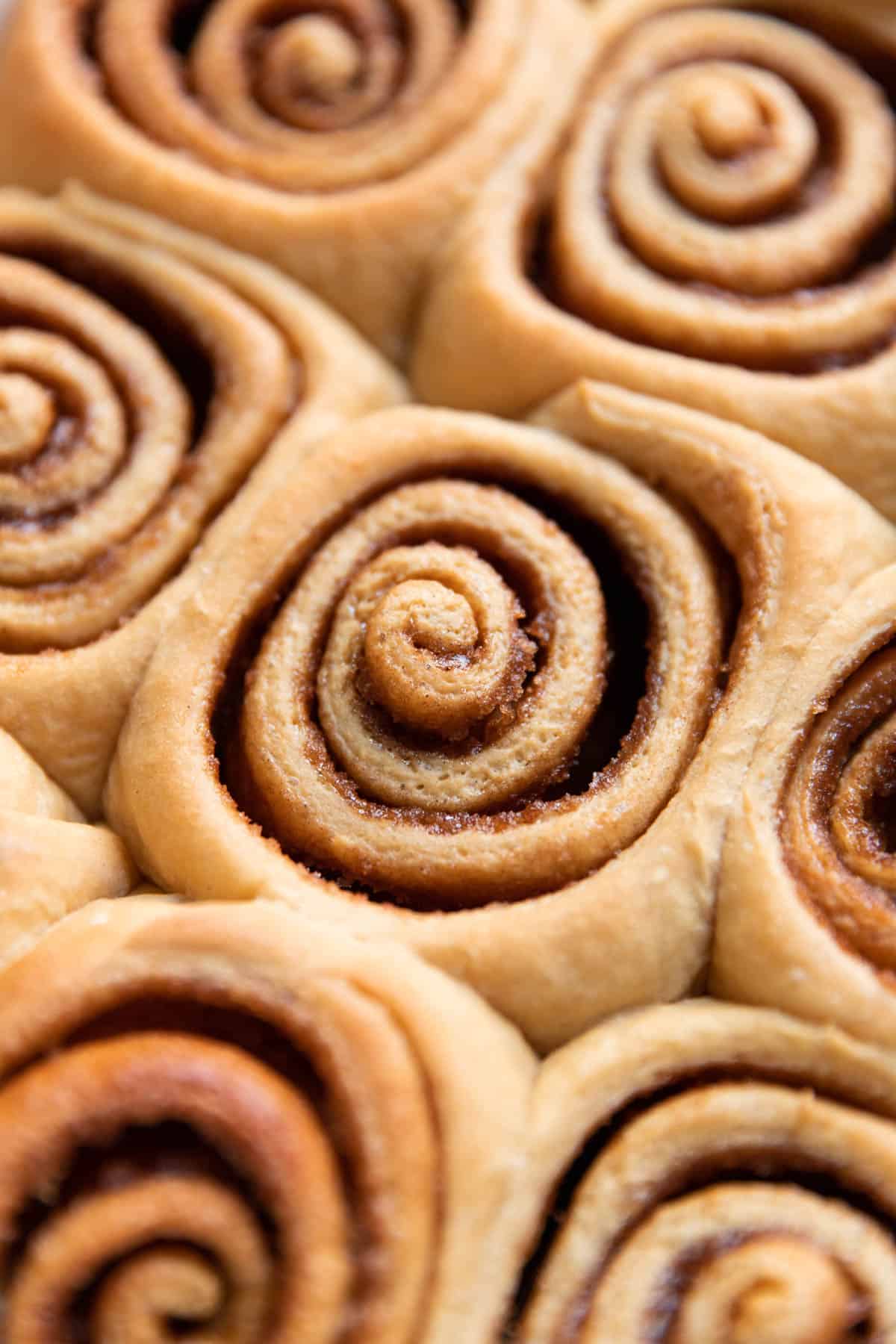 gingerbread cinnamon rolls in a baking dish.