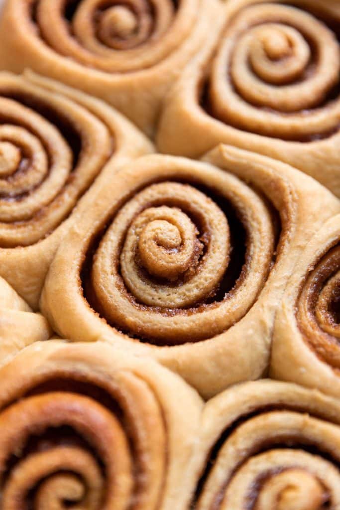 gingerbread cinnamon rolls