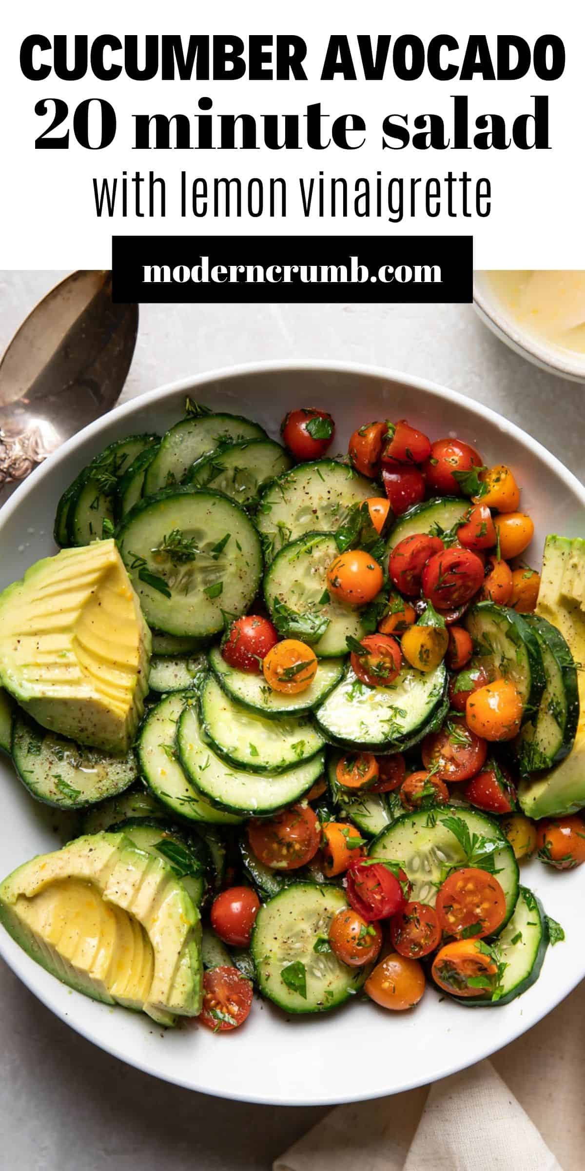 20 Minute Cucumber Avocado Salad With Fresh Herbs - Modern Crumb