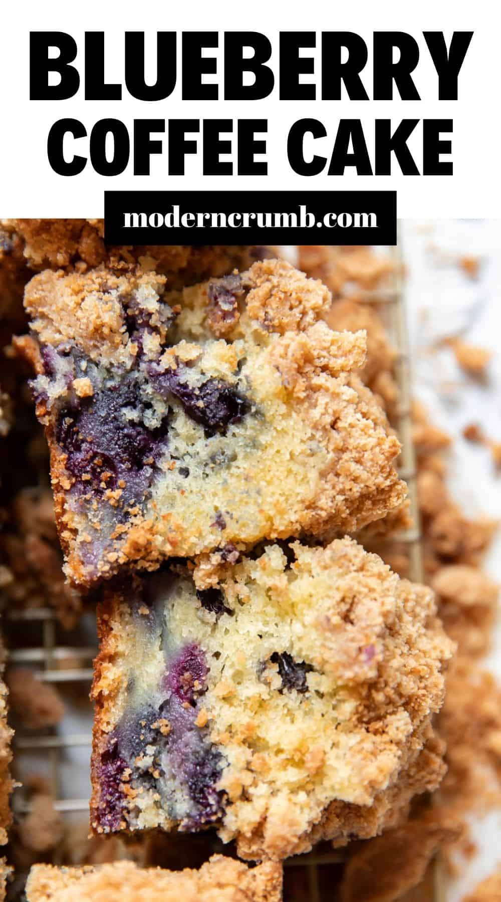 Sky High Blueberry Coffee Cake - Modern Crumb