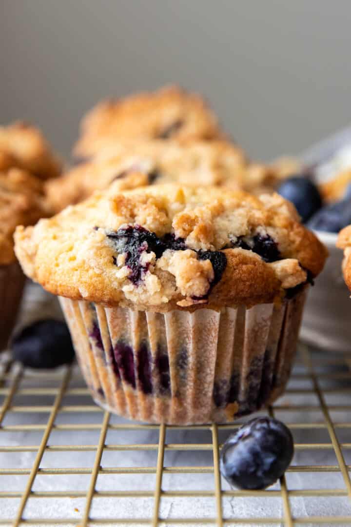 Blueberry Crumb Muffins - Modern Crumb
