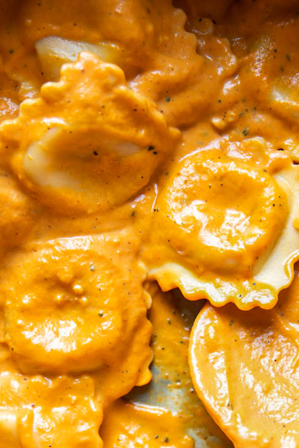 20 Minute Creamy Pumpkin Ravioli Modern Crumb