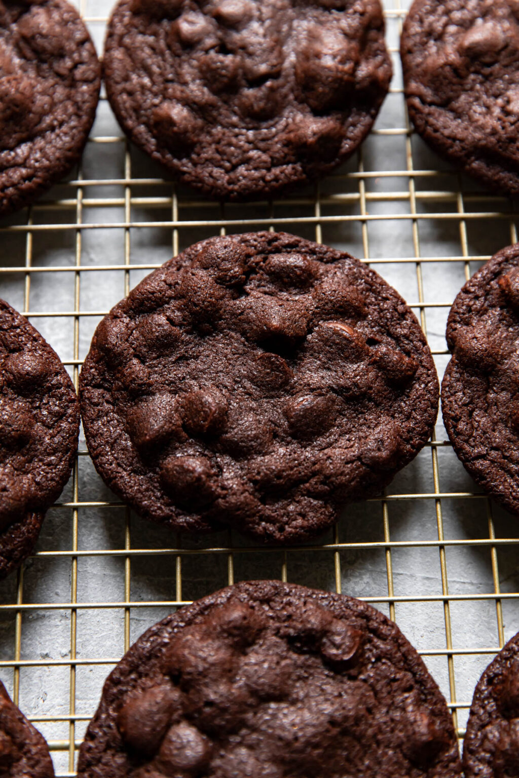 Chocolate Chocolate Cookie Recipe - Modern Crumb