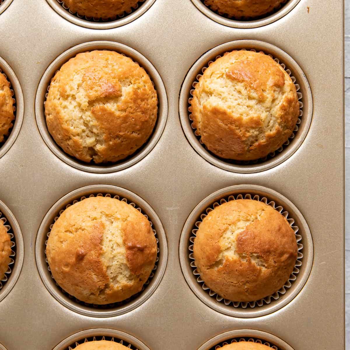 Afkeer aantrekken Vooroordeel Basic Muffin Recipe: Comparing Butter and Oil - Modern Crumb