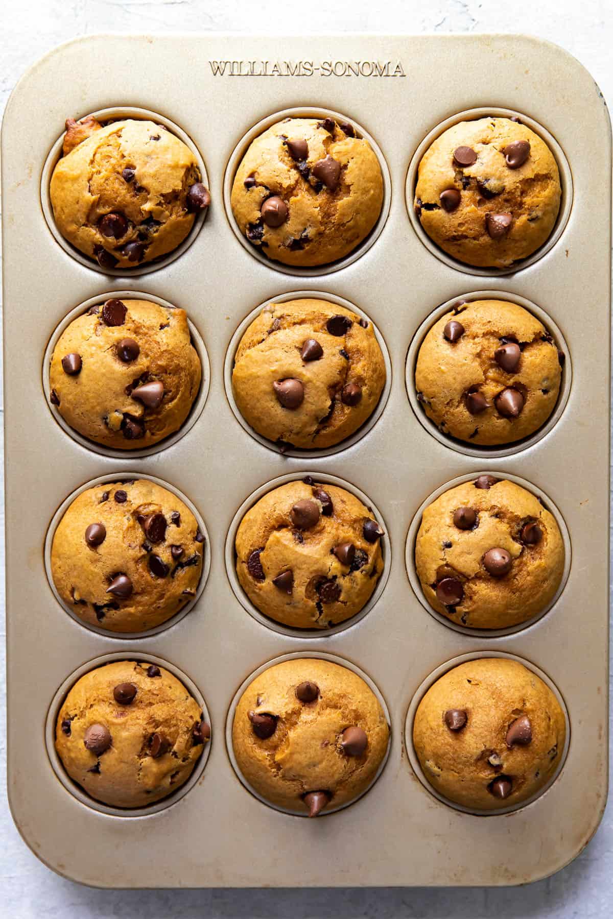 pumpkin chocolate chip muffins after baking, in a muffin tin.