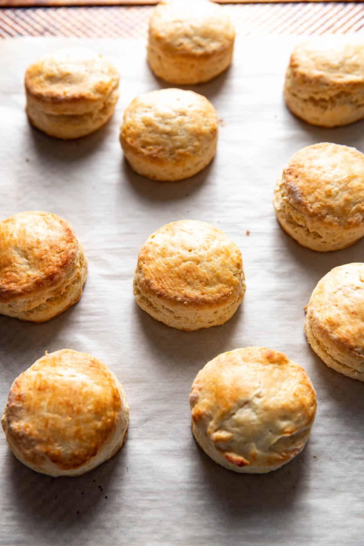 biscuits on a baking tray.