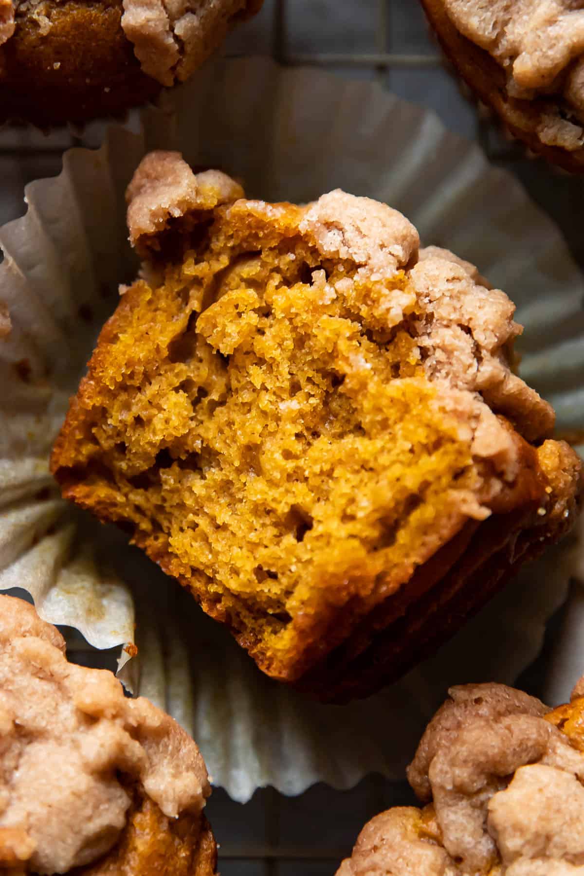 pumpkin muffin.