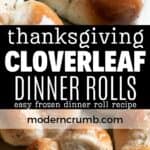 cloverleaf dinner rolls.