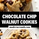 chocolate chip cookies with walnuts.